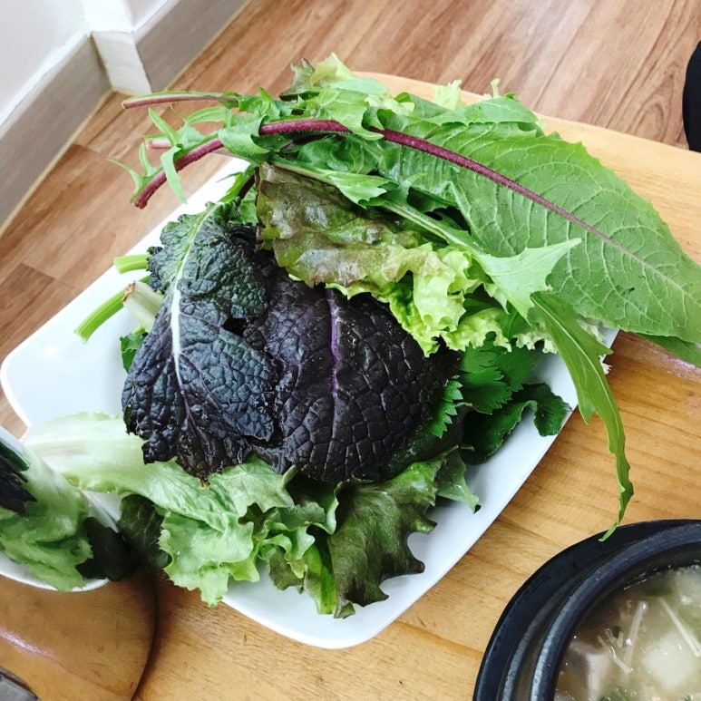 더미송 이미지