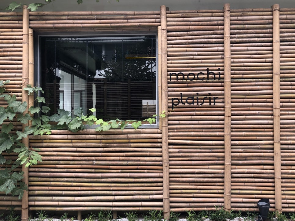 플레지르 이미지