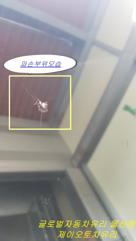제이오토차유리 이미지