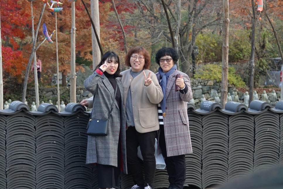 사단법인 대한불교교종 이미지
