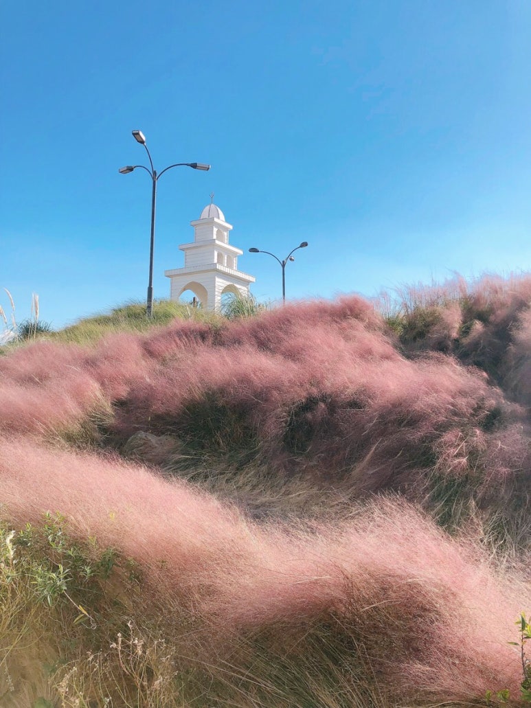 보타니카170 이미지