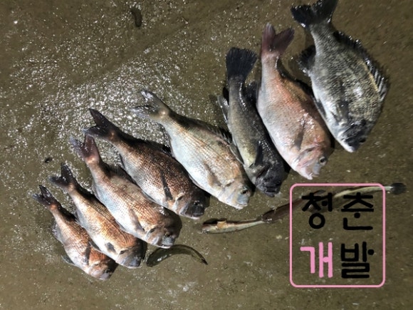 와이디키친 이미지