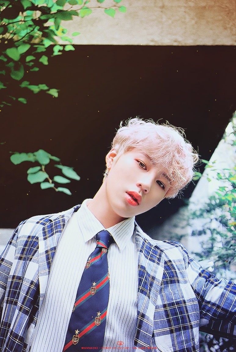 성운화원 이미지