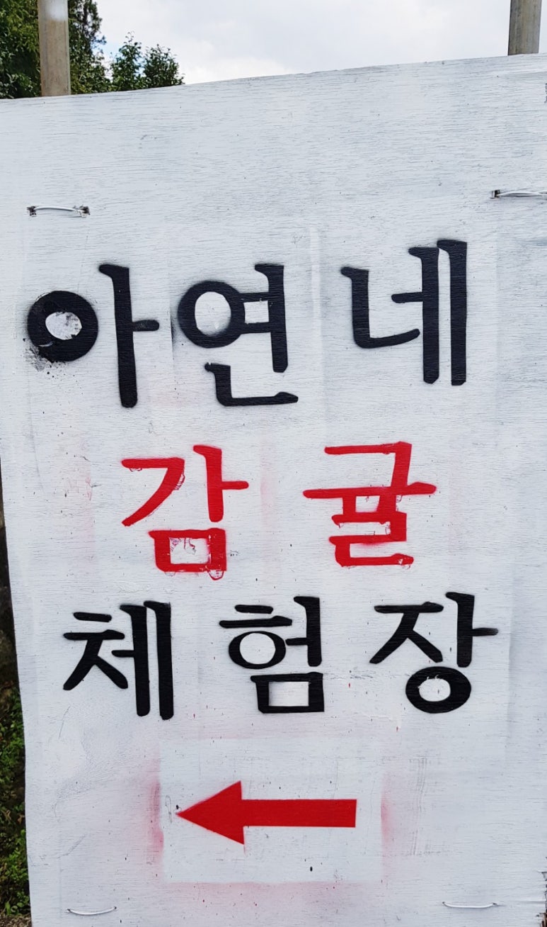 아연네감귤체험농장 이미지