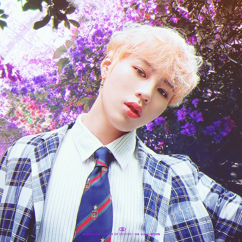 성운화원 이미지