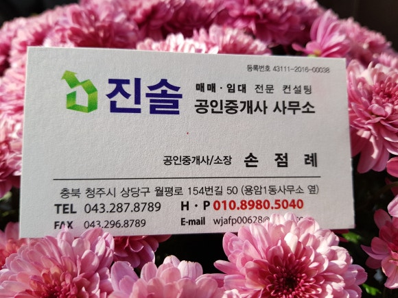 봉자언니 이미지