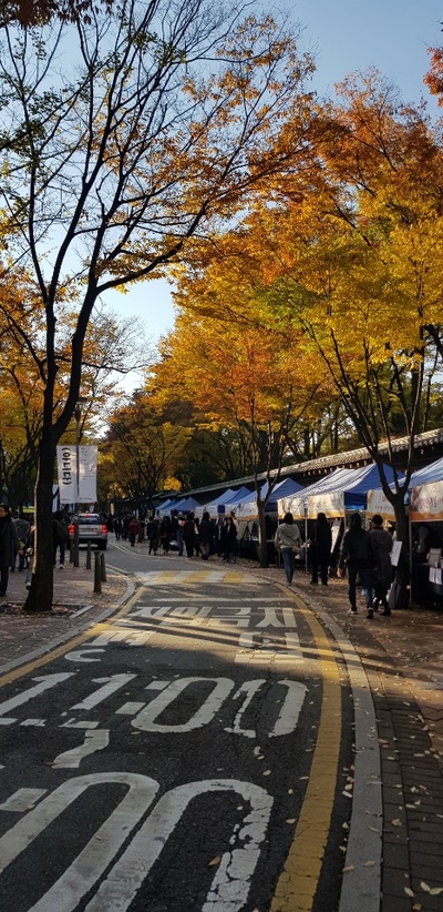 더원행정사사무소 이미지