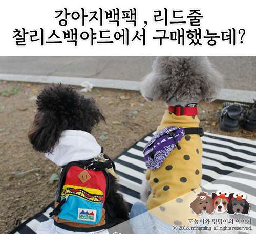 더백야드 이미지