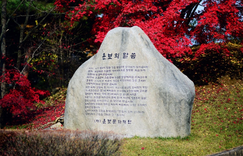 션사인 이미지
