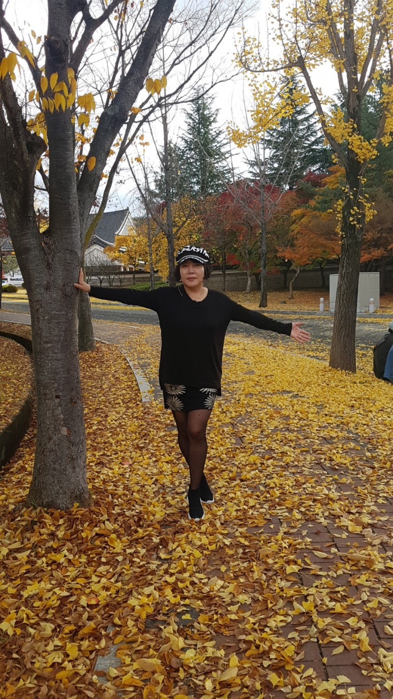 하이야호 이미지