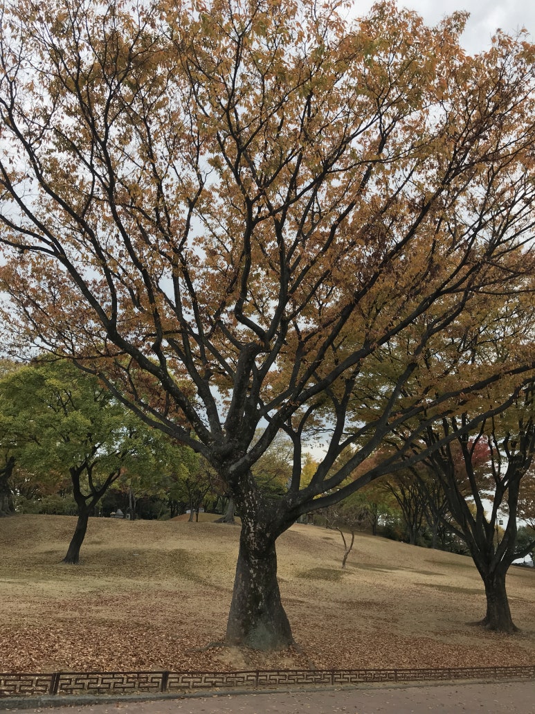 남해한식부페 이미지