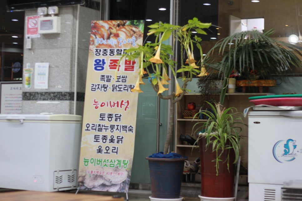 할머니족발보쌈 이미지