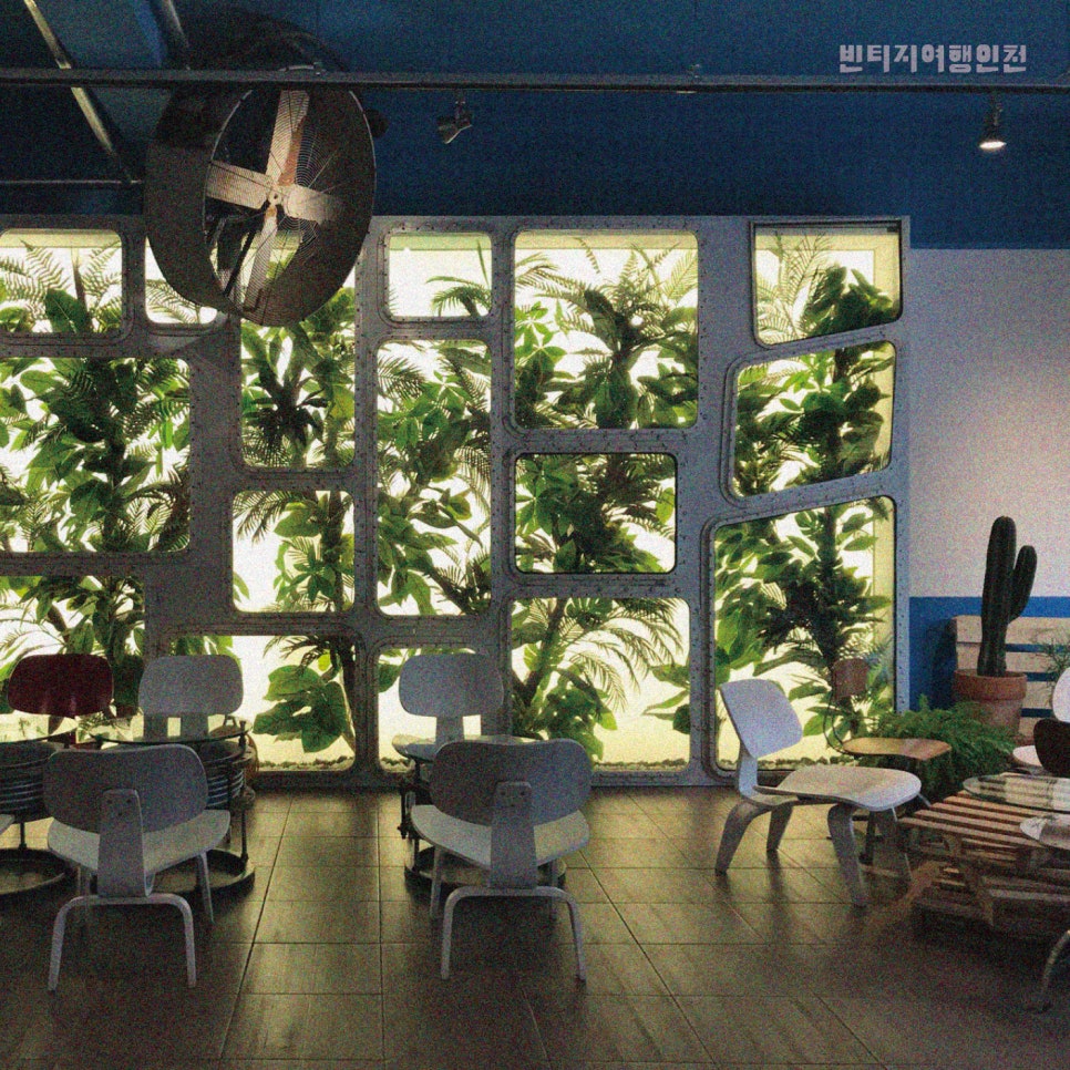 이집트경양식 이미지