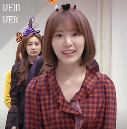 피알브이 이미지