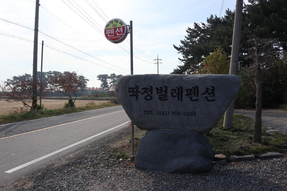 딱정벌레펜션 이미지