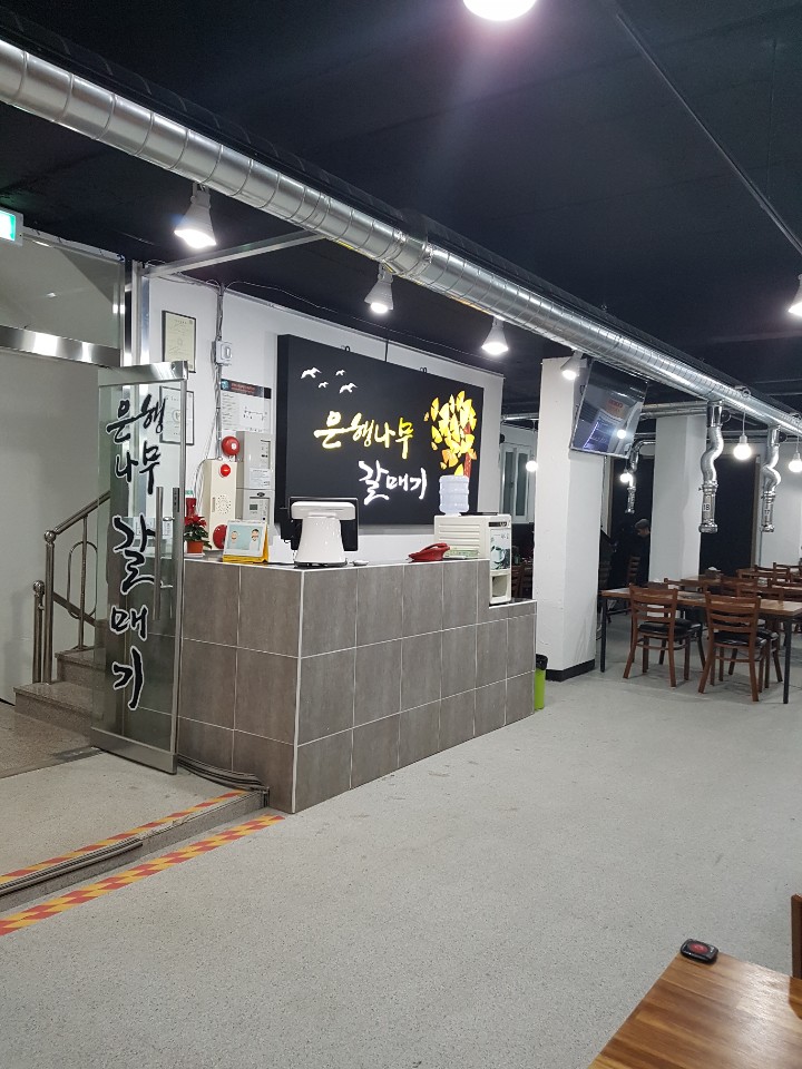 은행나무갈매기 이미지
