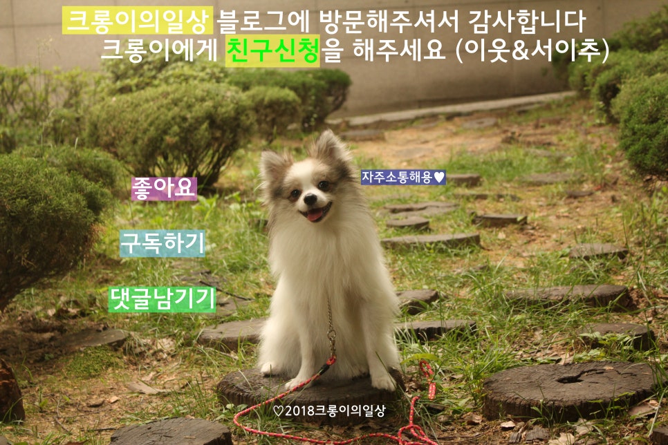 돼지네삼겹살 이미지