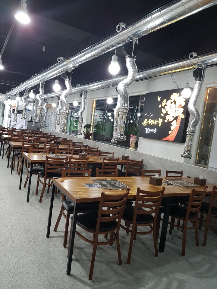은행나무갈매기 이미지