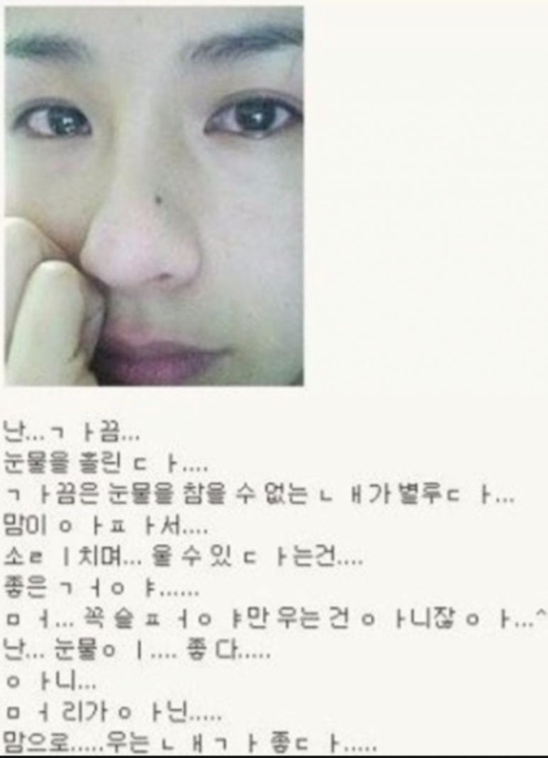 풀덤 이미지
