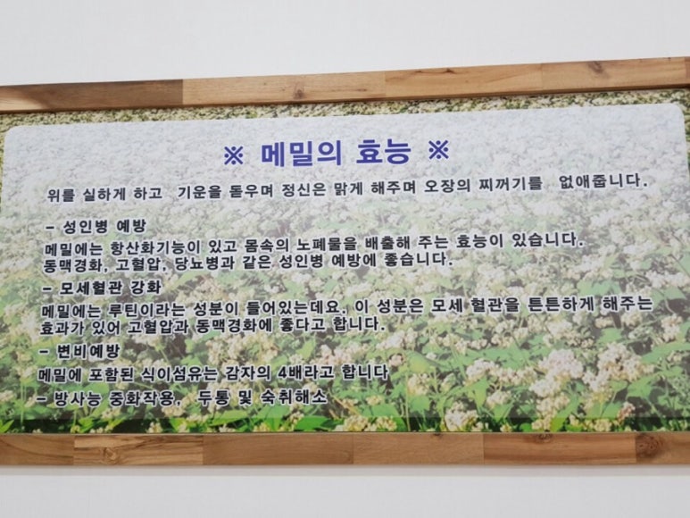 원주막국수 이미지