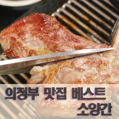 소와양 이미지