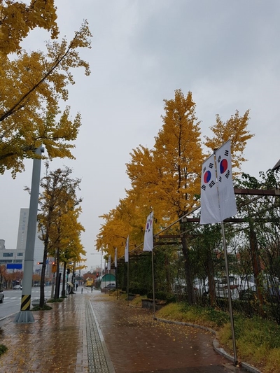 나원화장품 이미지