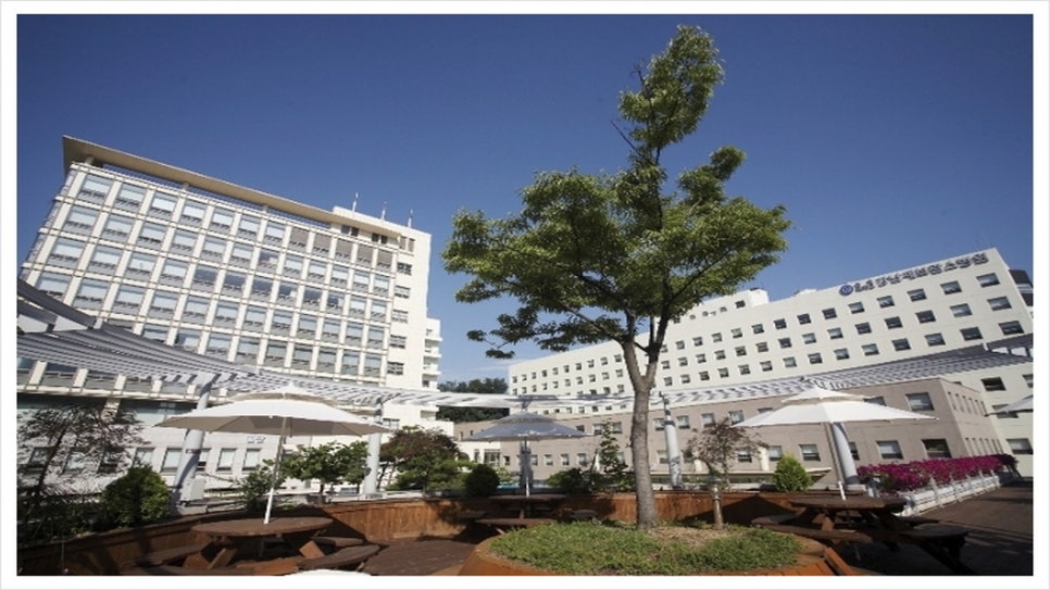 연세대학교강남장례식장 이미지