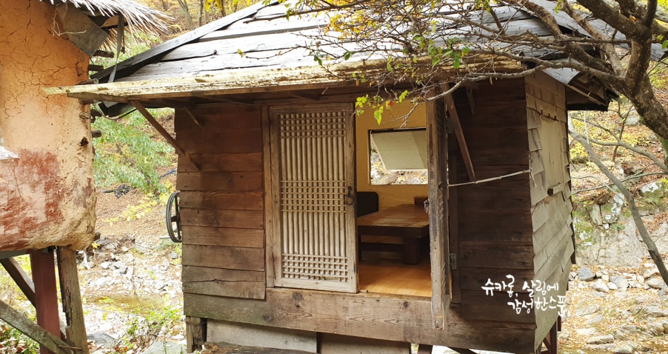 뭐길래산장식당 이미지