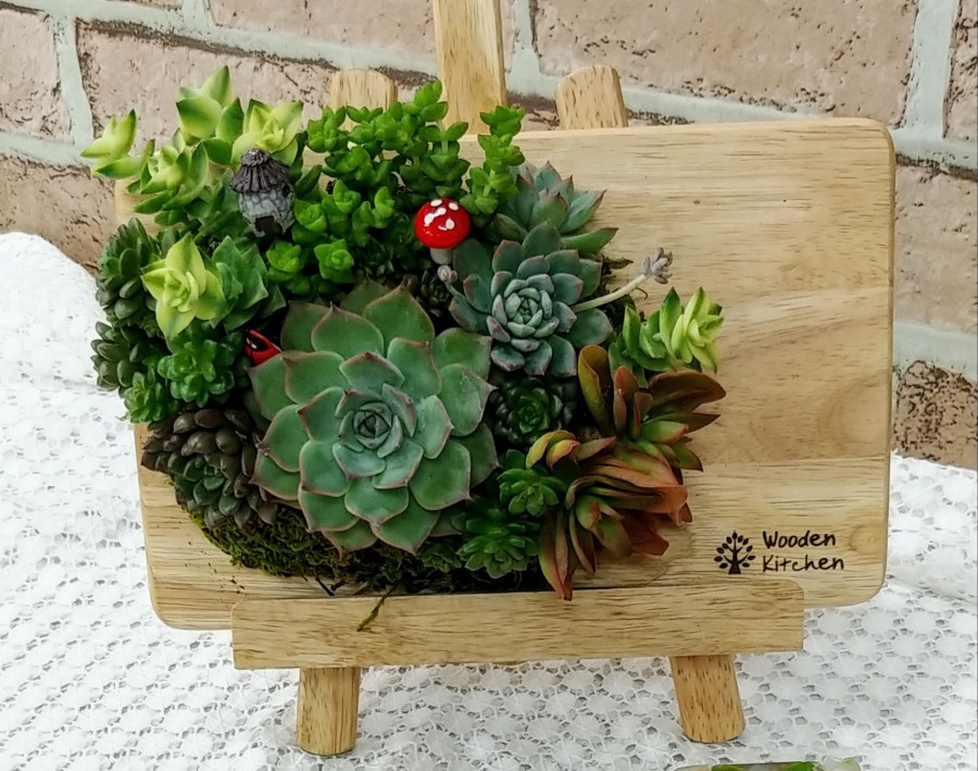 다육이공방 이미지