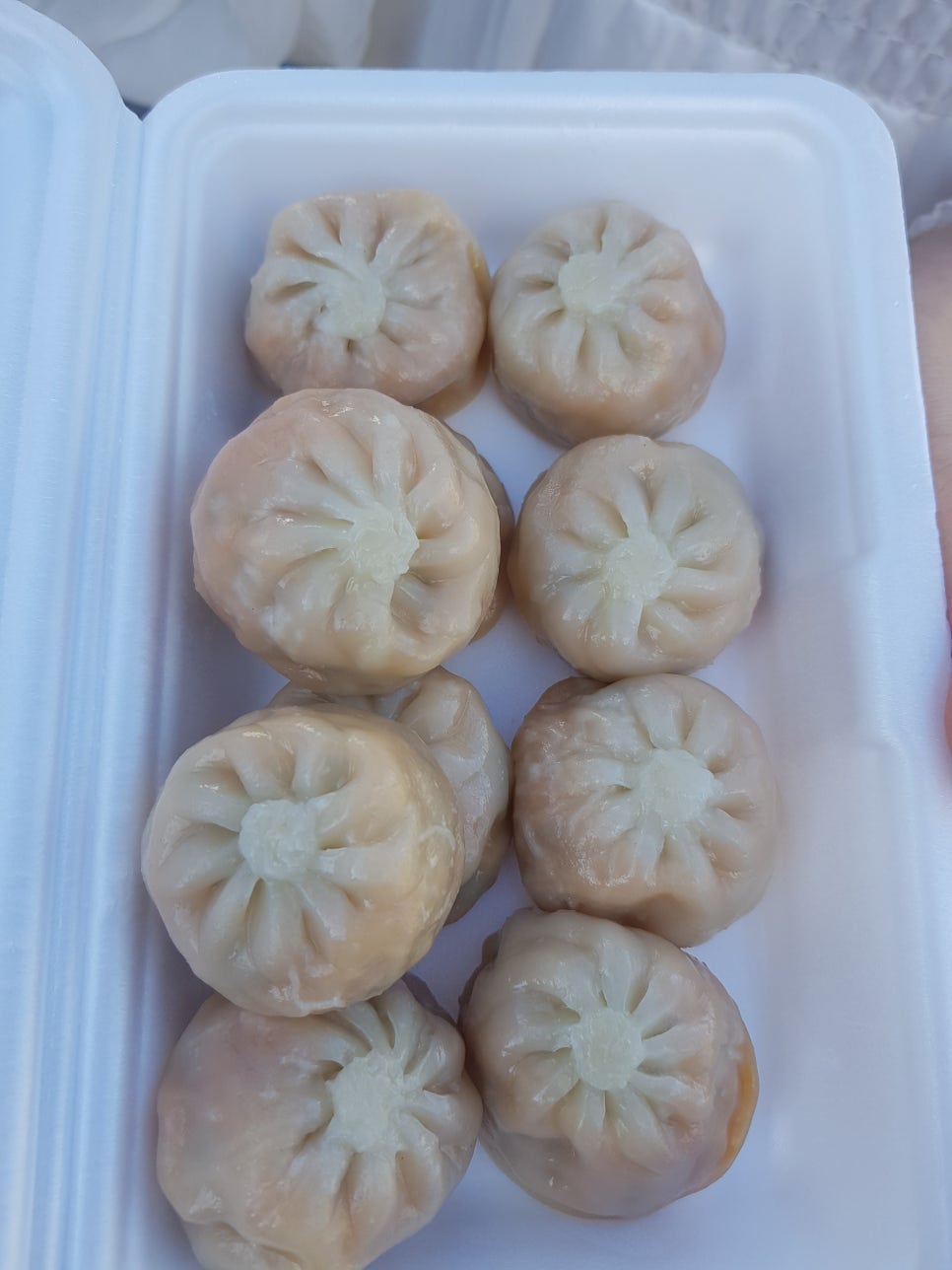 맛드림찐빵만두 이미지