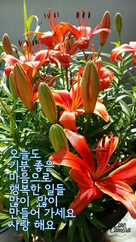 세기냉열 이미지