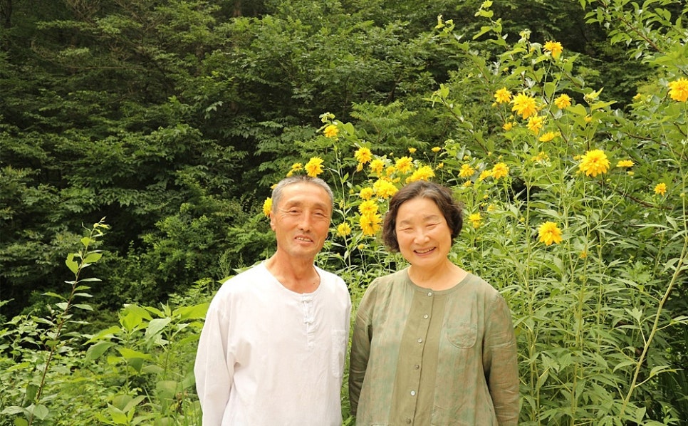 거목민박 이미지