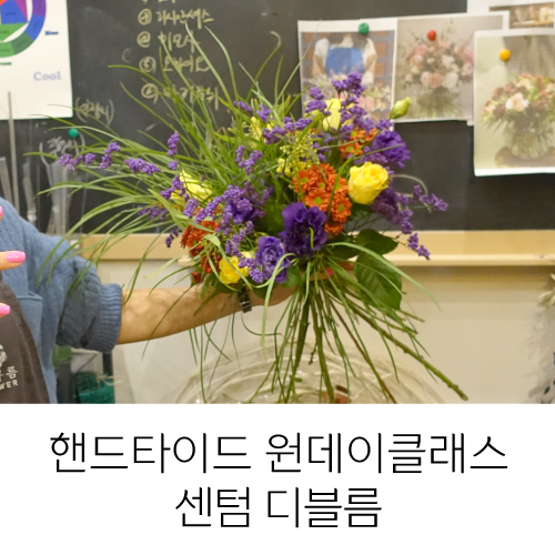 디블름 이미지