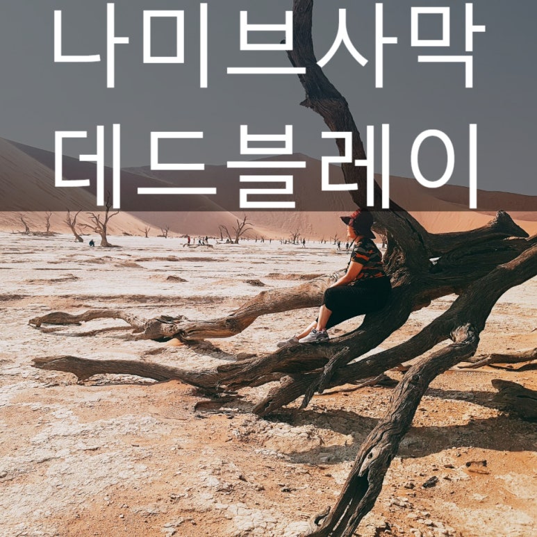 시간이멈추어 버린곳 이미지