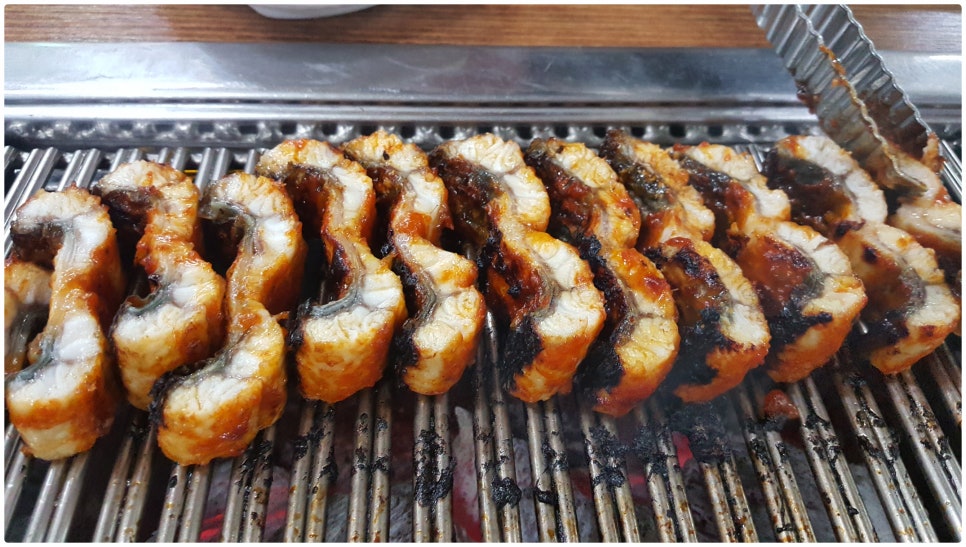 기운센장어 이미지