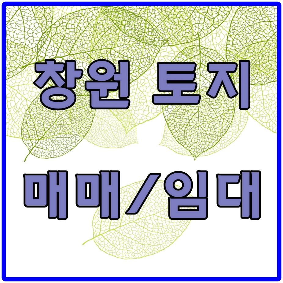 화창카센타 이미지