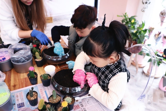 비인풀블룸 이미지