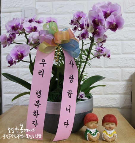 띵동플라워 이미지