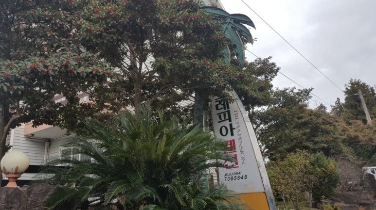 뜨레피아 이미지