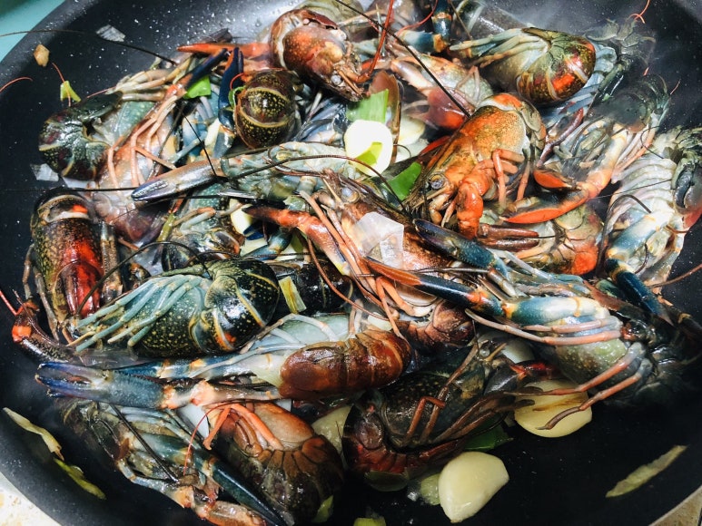 마라중독 이미지
