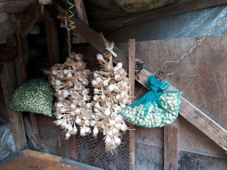 삼송농원 이미지