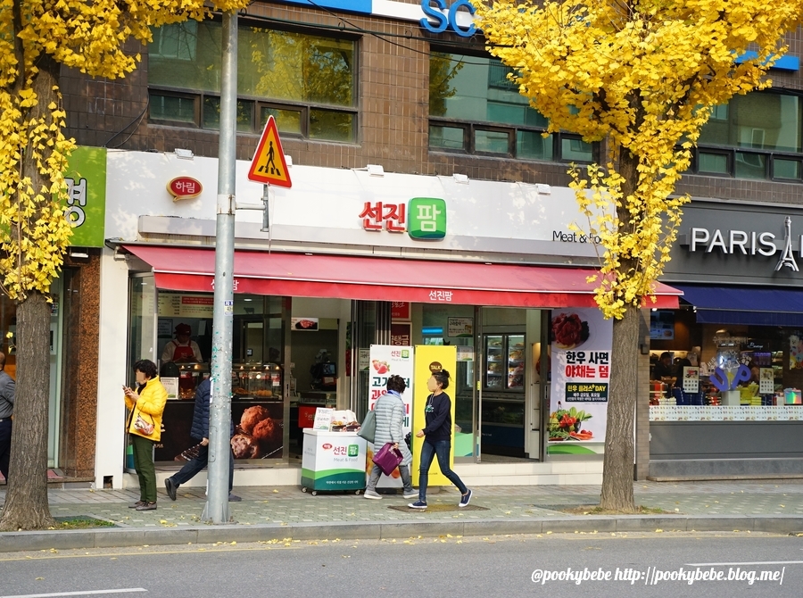 (주)선진투어 이미지