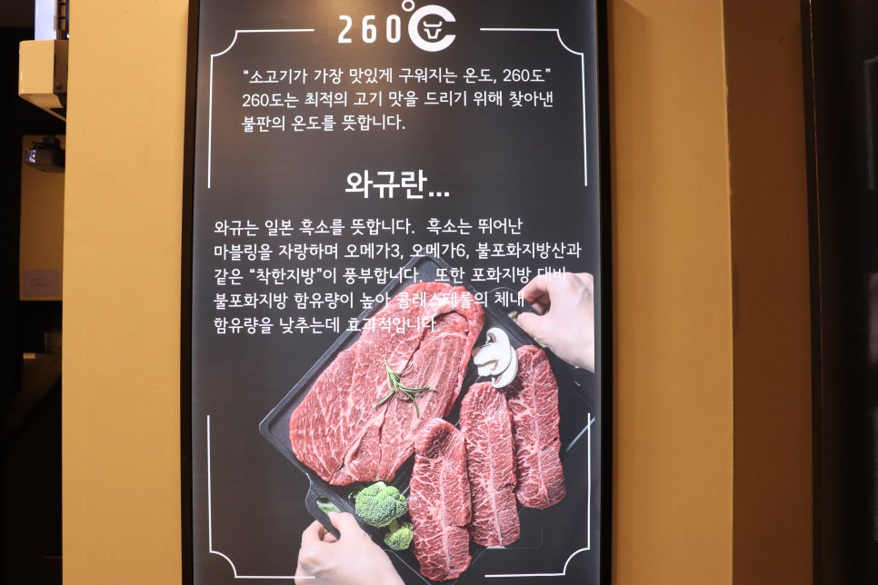 해량260도 이미지