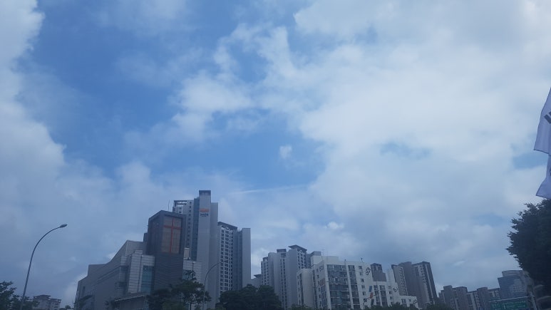 서울트렌드 이미지