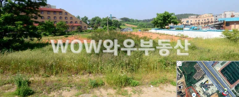 택지주유소 이미지
