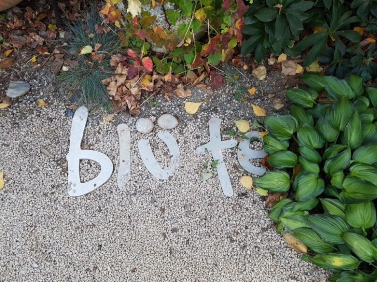 블뤼테(Blute) 이미지