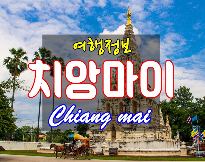 투어투게더여행사 이미지