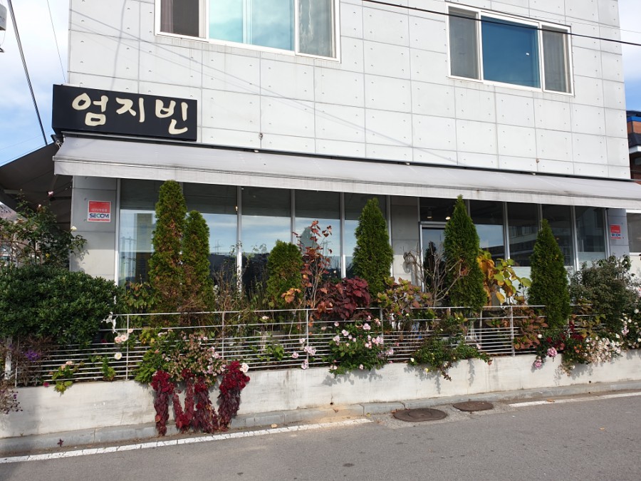 엄지빈 이미지