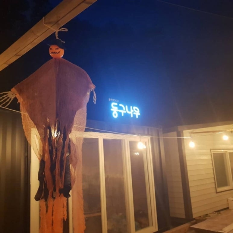 법인둥구나무 이미지