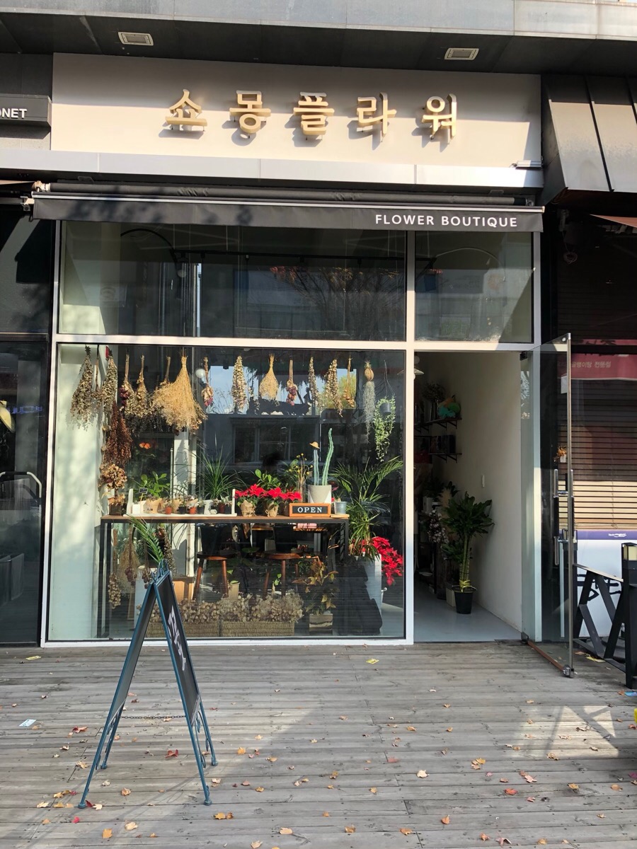 쇼몽플라워 이미지